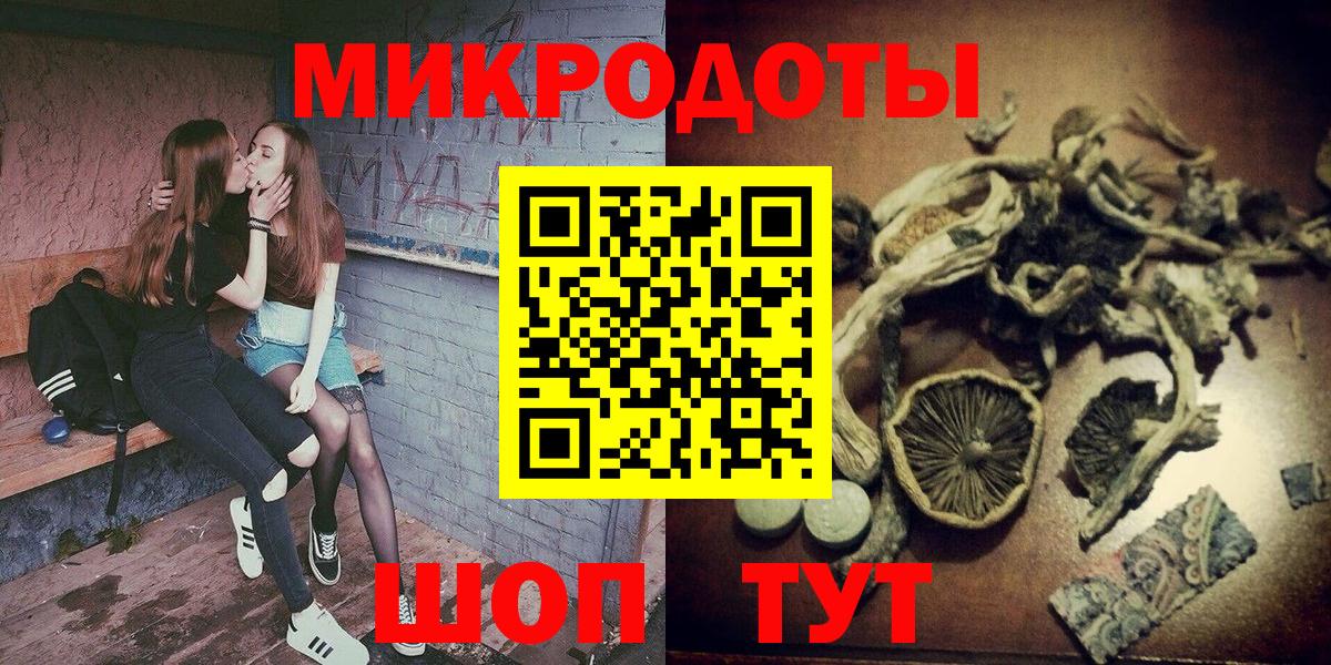 Псилоцибиновые грибы Psilocybe  Вход с VPN  Вологда 